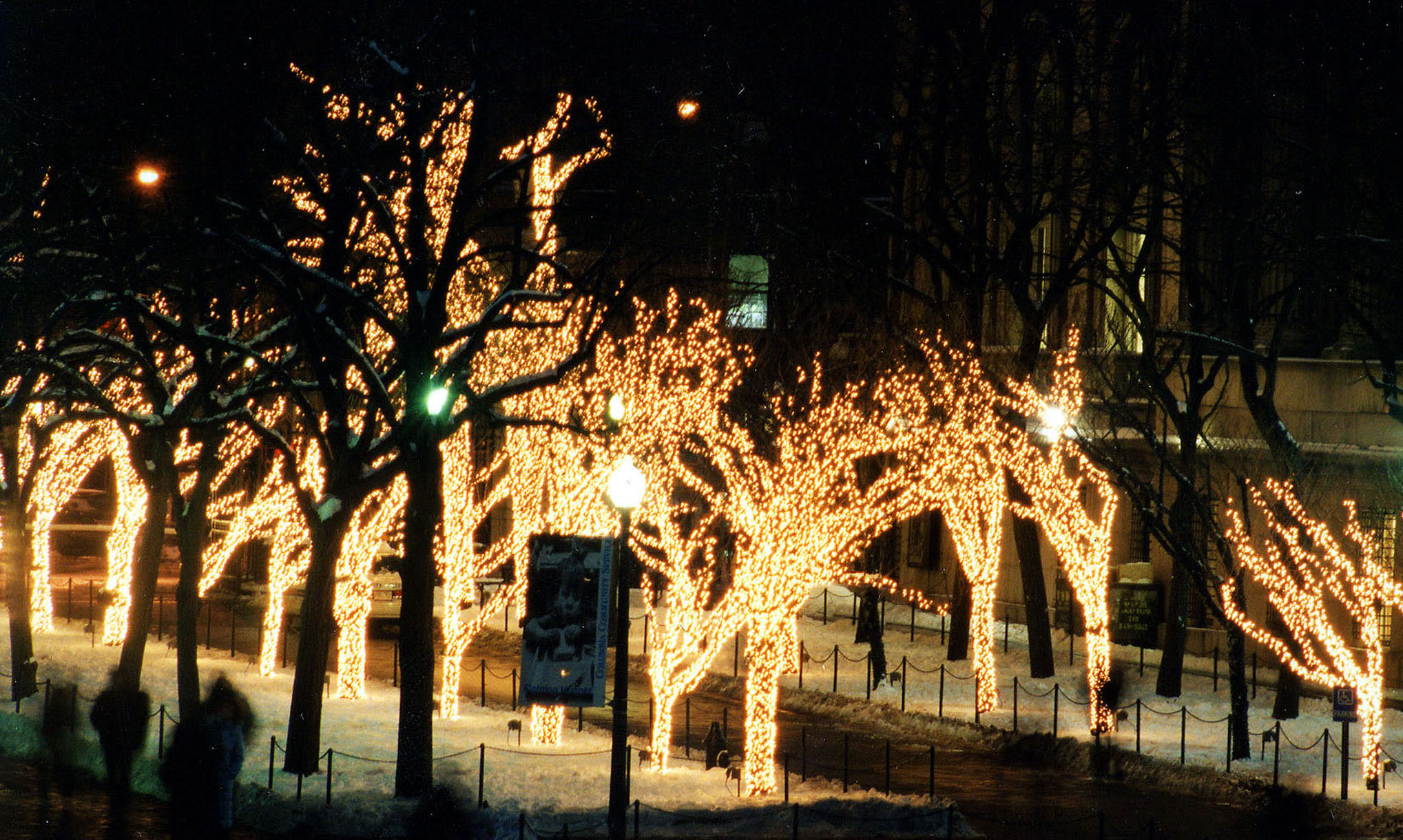 College Walk lights 2005
