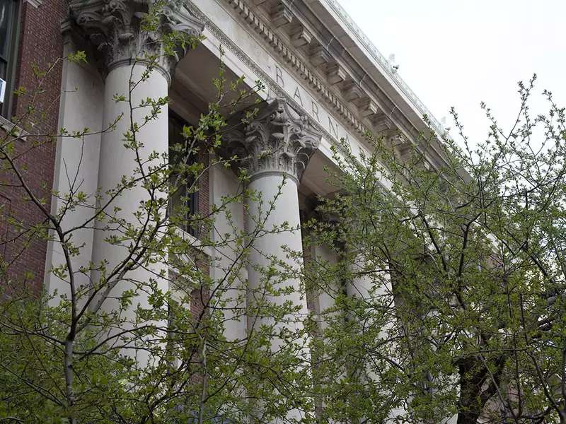 Photograph of the Trees in Front of Barnard Hall