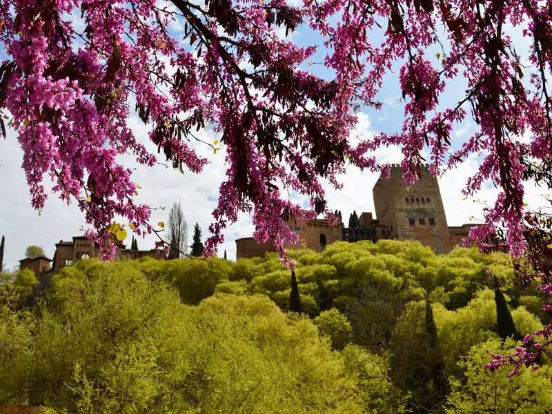 La Alhambra, Spain--old stone buildings on a green hilltop